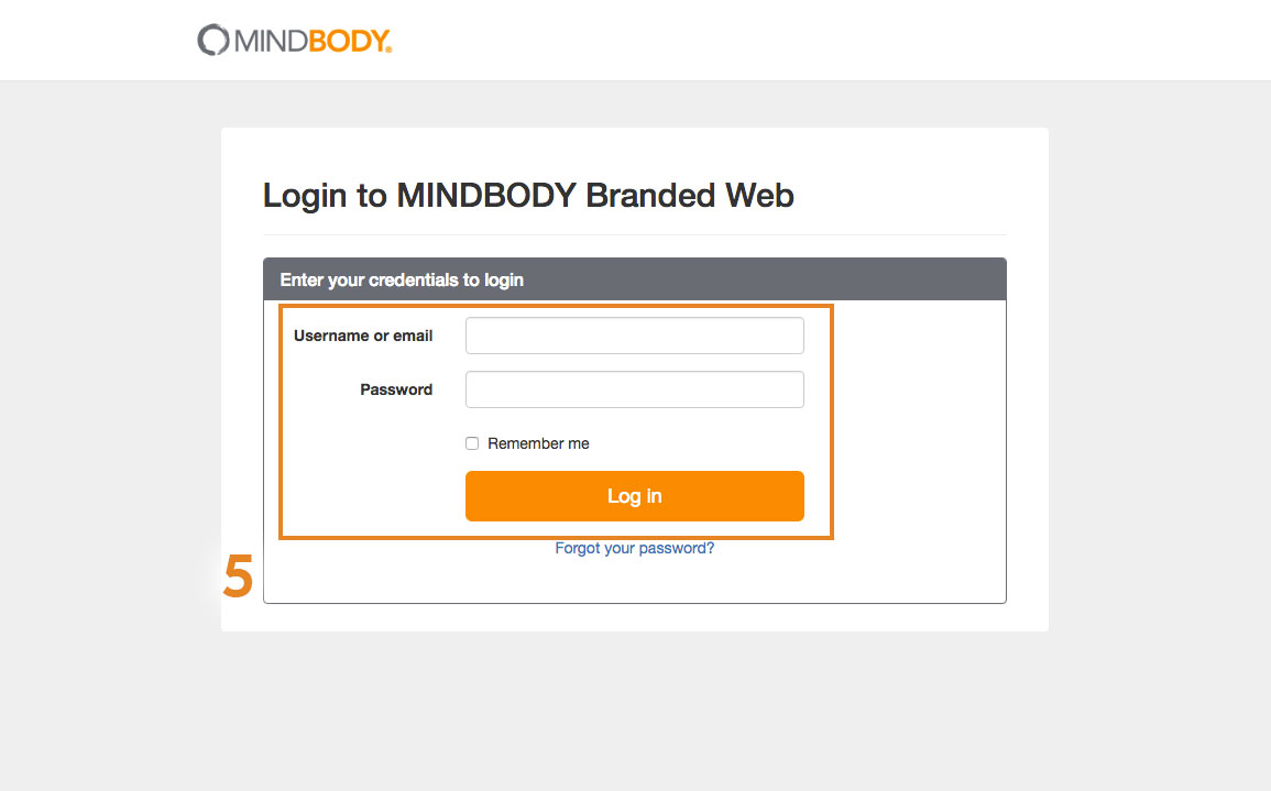 MINDBODY Information (Adding Widgets/Integration) – SpaceCraft